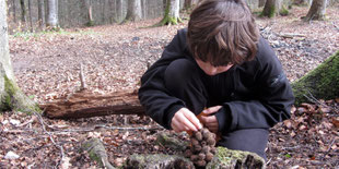 Kind im Wald