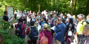 Lesen im Wald