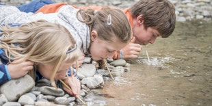 Bild: Kinder lernen am Bach