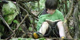 Lesen im Wald