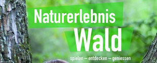 Buch Naturerlebnis Wald