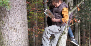 Praxishandbuch: Draussen unterrichten, Kinder lesen im Baum