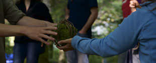Kurse in der Natur