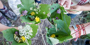 Blätterschalen mit Blüten