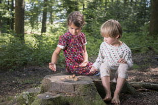 Naturbezogene Umweltbildung mit Kindern im Wald