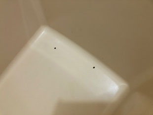 ハーフユニットバス塗装