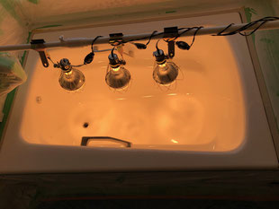浴槽塗装　赤外線ランプによる硬化促進