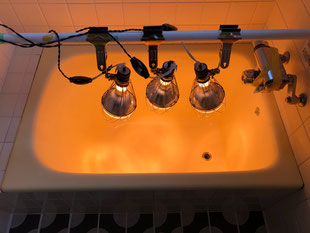 鋳物琺瑯浴槽再生塗装