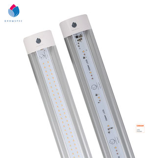 GS SLIM SPEC LED Pflanzenleuchte