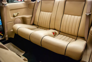 professionnel de la protection carrosserie