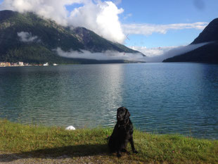 Fitch am Achensee :-)