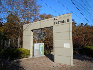 県立北総花の丘公園の外観写真