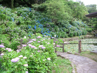 みのかも健康の森 家族友人 楽しむ 自然公園 休日 美濃加茂 可茂 中濃 岐阜