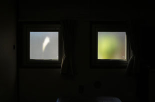 ●シルバー人材の仕事先の休憩室。擦りガラスの窓が絵画の額のようになっていた。左は午後の陽が当たったススキの穂。右は中央アメリカ原産の観葉植物「ユッカ」。擦りガラス越しに見ているので、メルヘンな絵本を見ているような気持ちになった。2024.1.26【写真：③多摩市豊ヶ丘2-1】