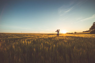 happy-girl-dancing-in-a-wheat-field-on-sunset-picjumbo-com