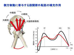 大殿 筋 歩行