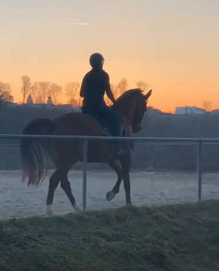 Trainingseinheit im Sonnenuntergang