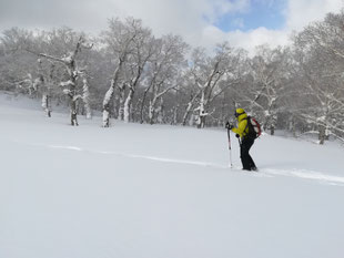新雪の尾根を行く
