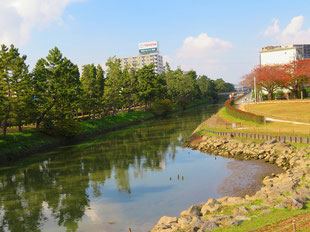 綾瀬川左岸風景