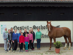 Trainingslager Gestüt Seehof