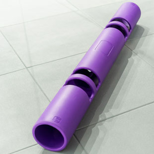 ViPR