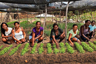 visite-communaute-indigene-authentique-quilombo-bresil