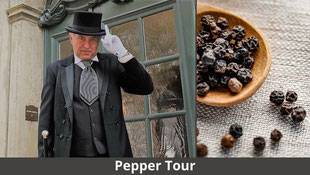 Pepper Tour in der Hamburger Speicherstadt – interaktive Stadtführung