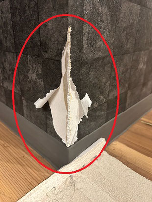 ペットによるクロスの傷