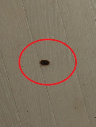 タバコ床クッションフロアの焦げ跡