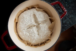 Brot-Teigling im gusseisernen Topf