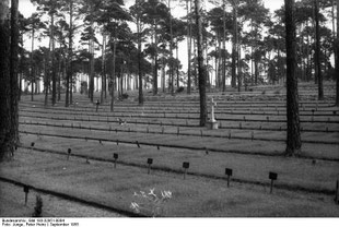 [BA. Bild 183-32951-004/CC BY-SA 3.0 de. Waldfriedhof Halbe. Fotograf: Peter Heinz Hinze,. 19.9.1955]