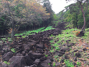 山添村鍋倉渓の湧き水