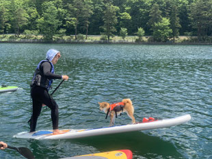 わんことSUPで遊びながらトレーニング