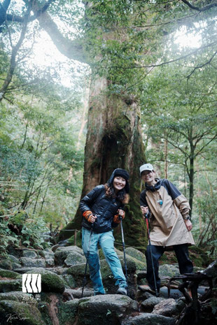 屋久島半日ガイドツアー 白谷雲水峡 もののけ姫 苔むす森