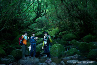 苔の沢,白谷雲水峡,リバーカヤック,屋久島,半日,ガイドツアー