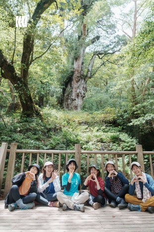 樹齢7200年の縄文杉の前で記念写真を屋久島ガイドが撮影