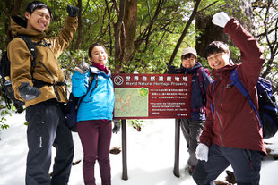 大学時代の仲間で縄文杉へ！（縄文杉ガイドツアー）