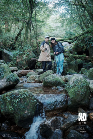 屋久島半日ガイドツアー 白谷雲水峡 もののけ姫 苔むす森
