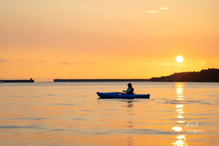 朝の太陽を浴びて,屋久島で生きると戯れる、はじまりの旅,2023年,4月,5月,11月,生命を満たす旅,生き方,人生,人生の転機,天職,ライフシフト,ワークシフト,転職,キャリアの悩み,移住,キャリアデザイン,仕事,働き方,働く理由,起業, 独立,休職,休学,求職,春,夏,秋おすすめの季節,屋久島ベストシーズン,国内旅行,屋久島ツアー,屋久島ガイド,屋久島旅行,森林浴,カヤック,屋久杉,屋久島移住,島結,屋久島公認ガイド,一人旅,転職,生き方 