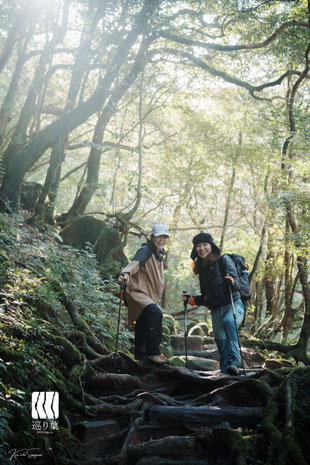 屋久島半日ガイドツアー 白谷雲水峡 もののけ姫 苔むす森