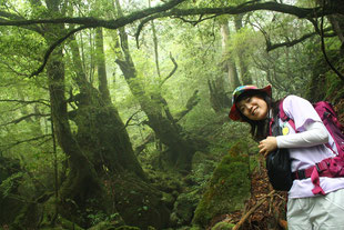 一人旅で、ガイドと一緒に、もののけ姫の森へ（白谷雲水峡・もののけ姫の森ガイドツアー）