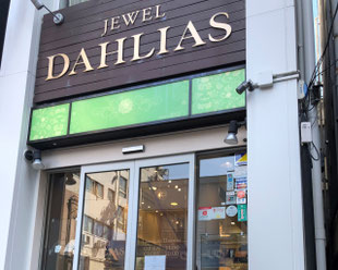 神楽坂 ダリアスネイルサロン Dahliasnailsalon ページ 神楽坂 ダリアスネイルサロン Dahliasnailsalon ページ