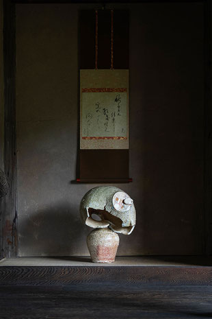 Furutani Kazuya / 古谷和也