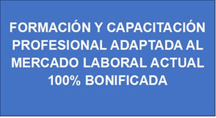 FORMACIÓN Y CAPACITACIÓN PROFESIONAL ADAPTADA AL MERCADO LABORAL ACTUAL, 100% BONIFICADA