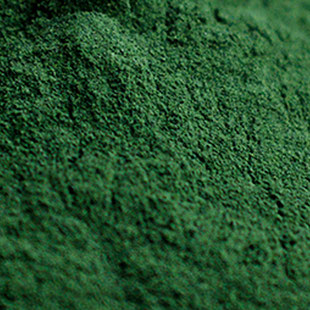 spirulina tab