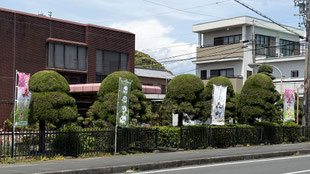 今年も森の新茶を・PR幟旗2