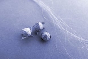 seedpods of flax and the fine fibre of the stems