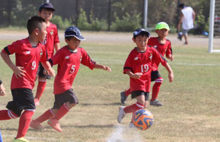 横浜市南区の少年サッカーチーム、サザンFCの試合風景