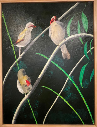 "The Red-browed Finch Trio" 50cm x 65cm Acrylic on canvas, pinewood frame $450 (excluding freight)