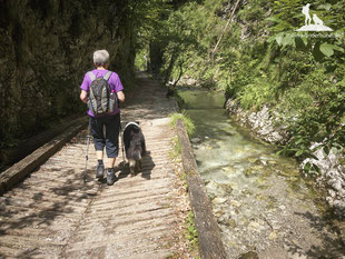 Wandern mit Hund; mein-wanderhund; Berchtesgaden; Schwarzachen; Bichleralm; Klausenrundweg